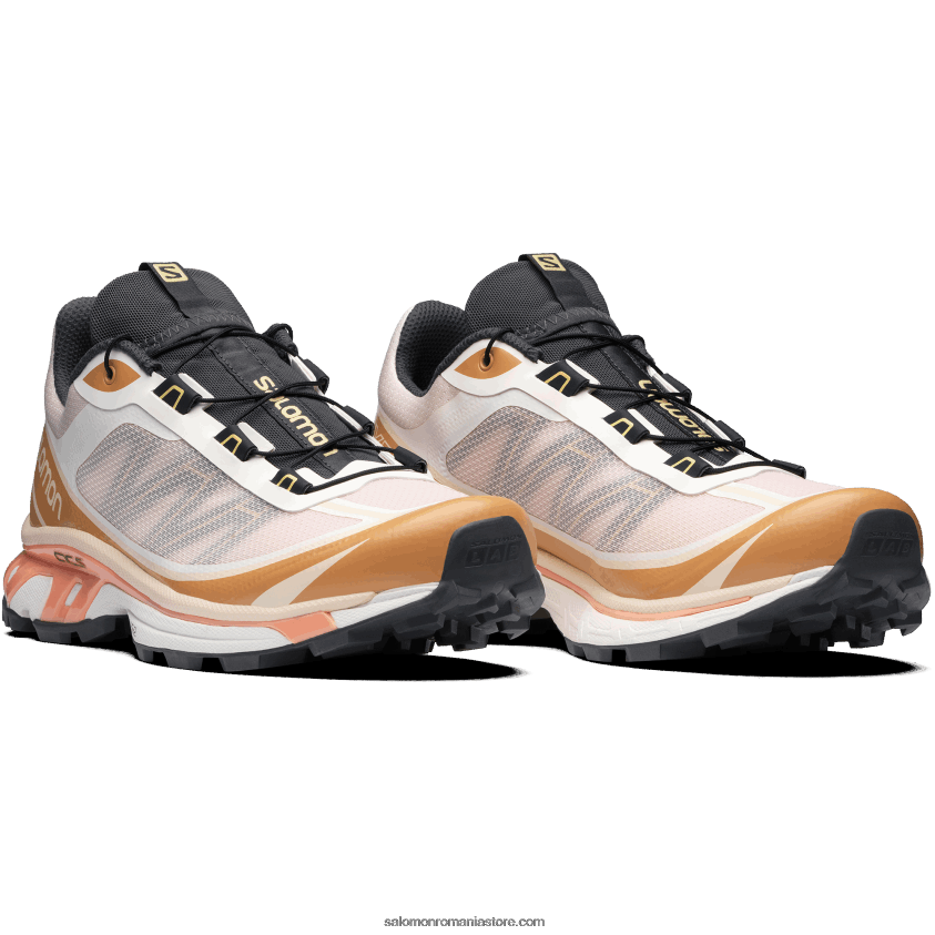 Salomon morganit/schinduf/negru pantofi sport pentru bărbați - xt-6 ft 6D8X2J94