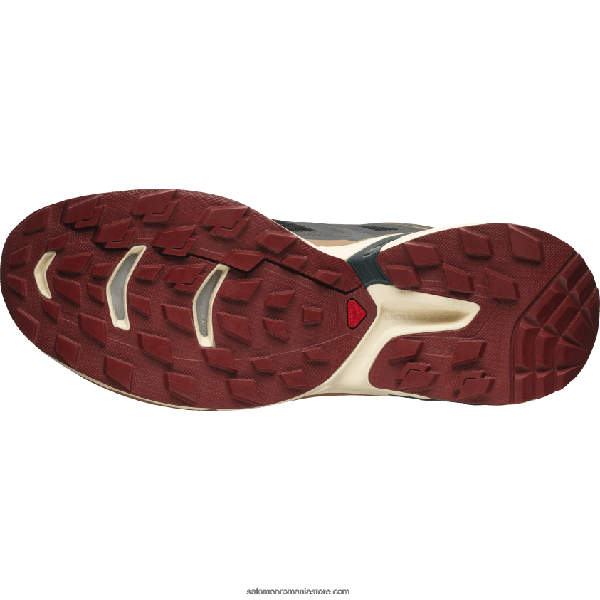 Salomon nisip negru/albit/pin ponderosa pantofi sport pentru bărbați - xt-wings 2 6D8X2J197
