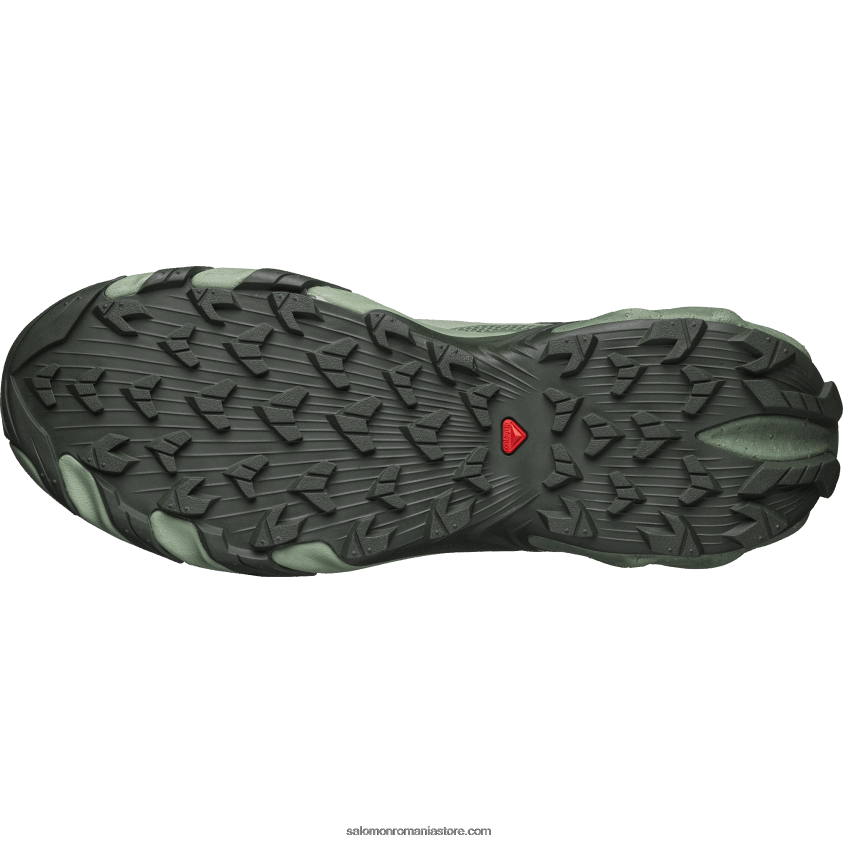 Salomon pădure adâncă/ coroană de lauri/ tampă de crini pantofi sport pentru bărbați - speedverse prg 6D8X2J115