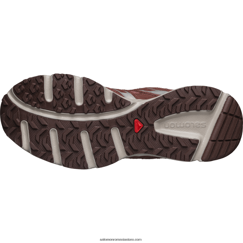 Salomon peisaj lunar/ghimbir sălbatic/bitter choc ltr pantofi sport pentru bărbați - x-mission 4 piele de căprioară 6D8X2J166