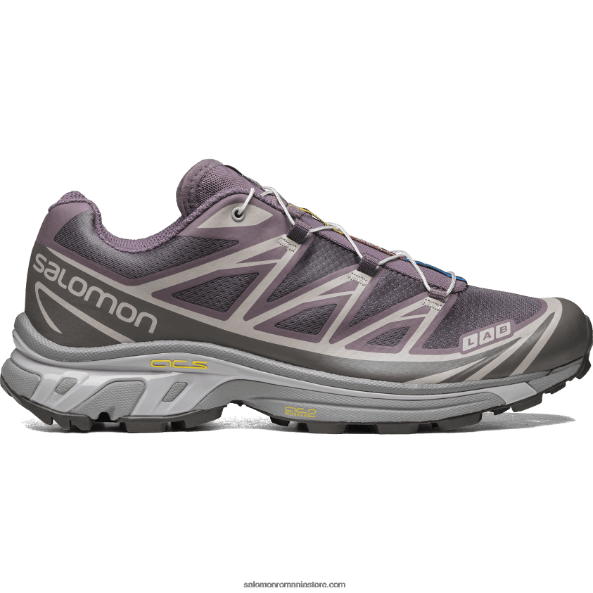Salomon peisaj lunar/pisoi cu prune/pescăruş pantofi sport pentru bărbați - xt-6 6D8X2J79