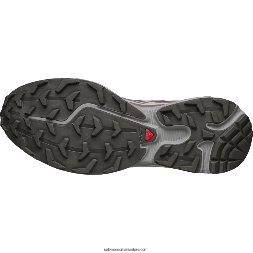 Salomon peisaj lunar/pisoi cu prune/pescăruş pantofi sport pentru bărbați - xt-6 6D8X2J79