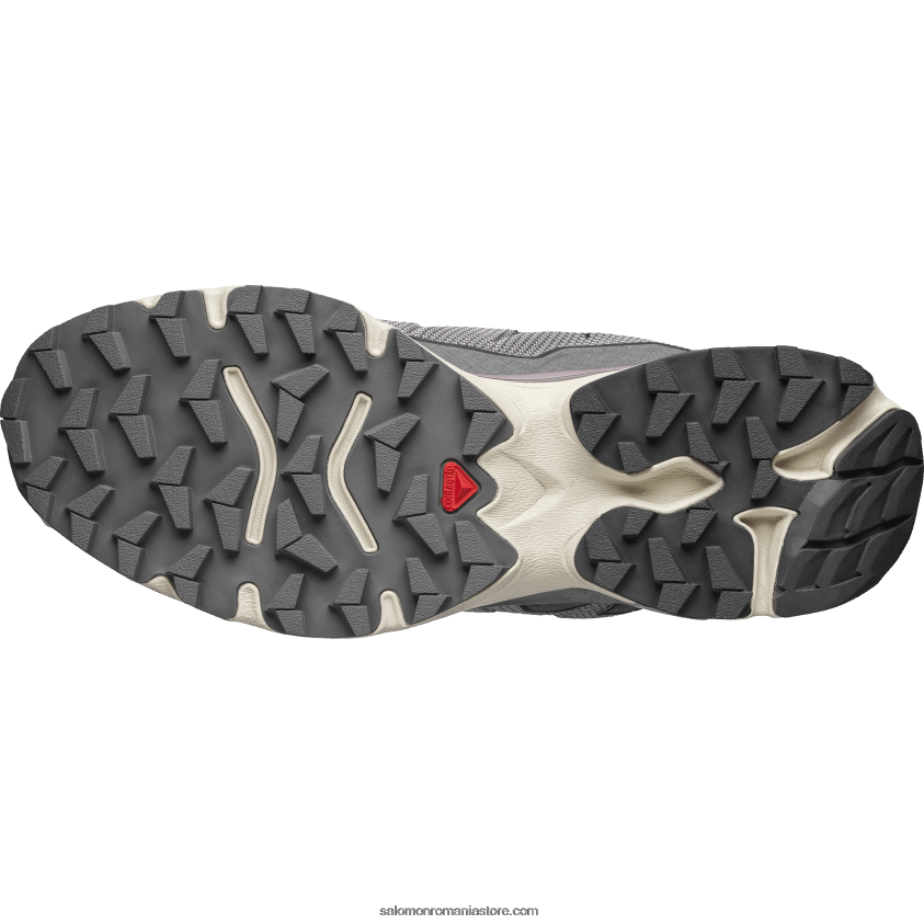 Salomon pescăruş/peisaj lunar/pewter pantofi sport pentru bărbați - xt-slate advanced 6D8X2J154