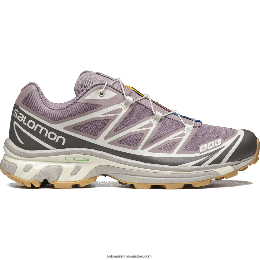 Salomon prepelita/pisicuta de prune/gheata de vanilie pantofi sport pentru bărbați - xt-6 6D8X2J80