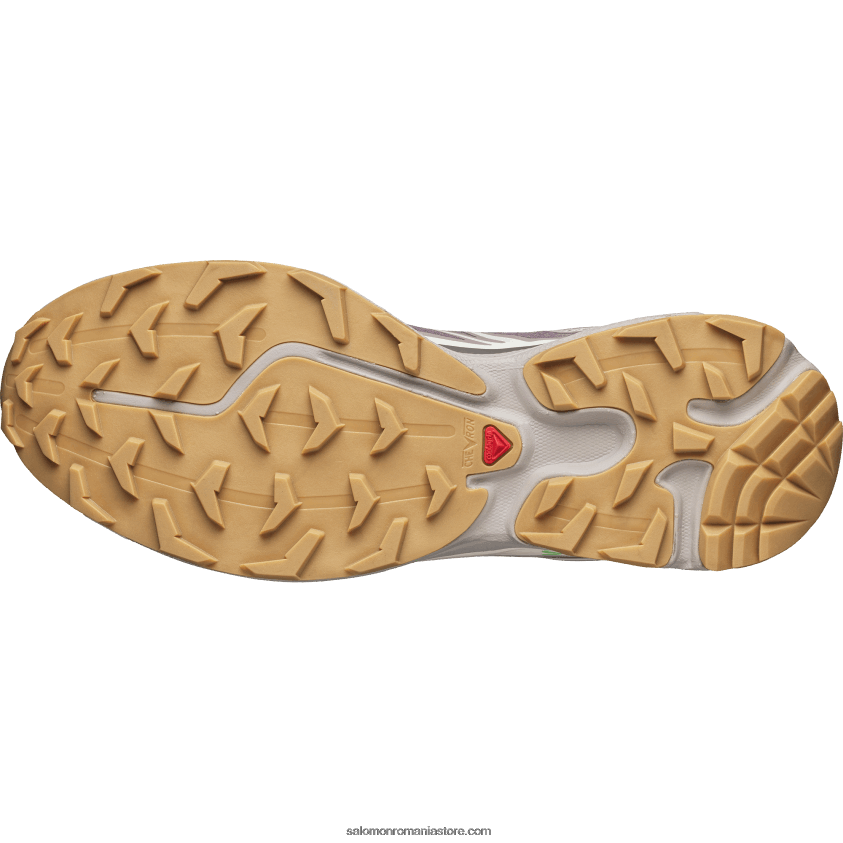 Salomon prepelita/pisicuta de prune/gheata de vanilie pantofi sport pentru bărbați - xt-6 6D8X2J80