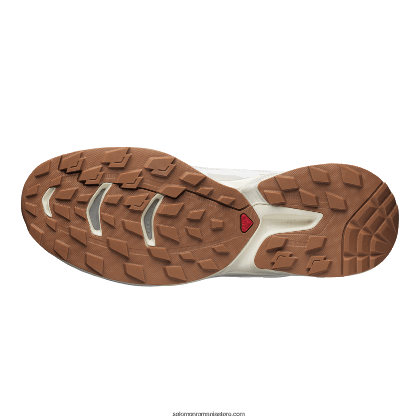 Salomon rocă albă/lunar/gheață de vanilie pantofi sport pentru bărbați - xt-wings 2 6D8X2J195