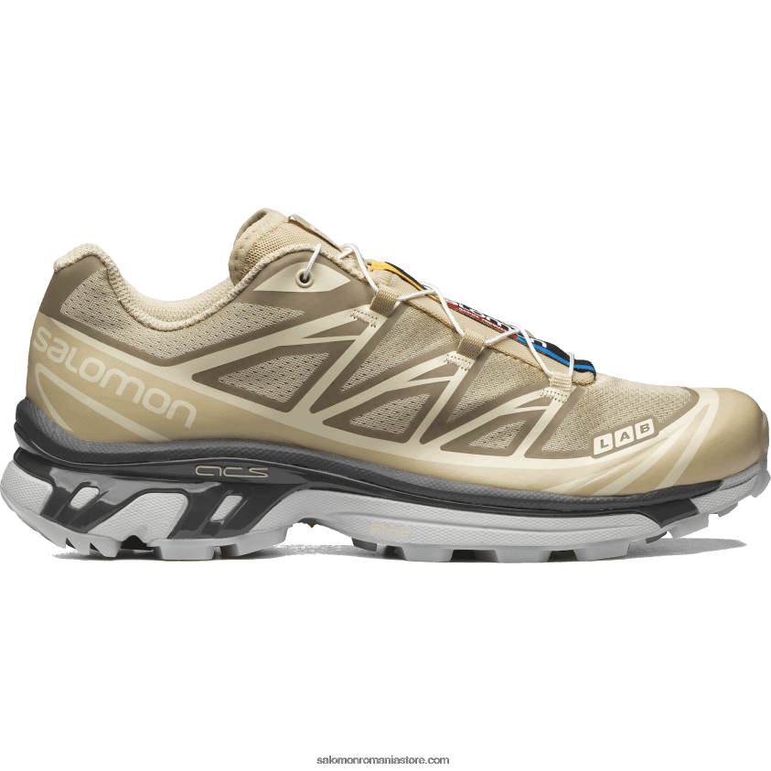 Salomon safari/magnet/gheata de vanilie pantofi sport pentru bărbați - xt-6 transparent 6D8X2J121