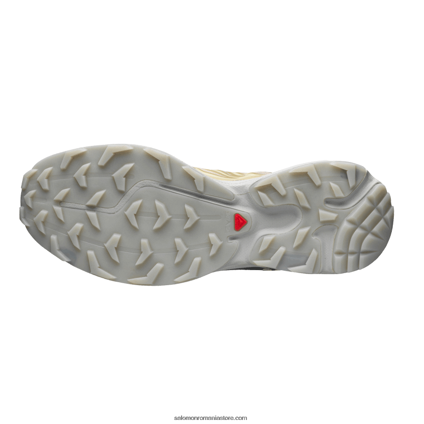 Salomon safari/magnet/gheata de vanilie pantofi sport pentru bărbați - xt-6 transparent 6D8X2J121