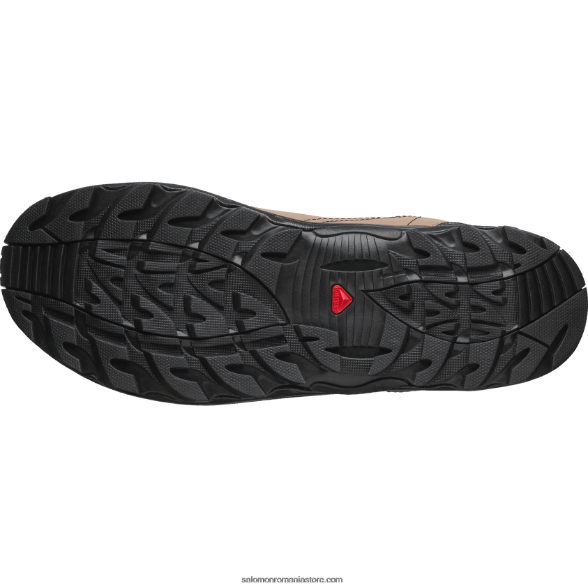 Salomon stejar auriu/ghinda/negru pantofi sport pentru bărbați - raid wind 75th 6D8X2J161