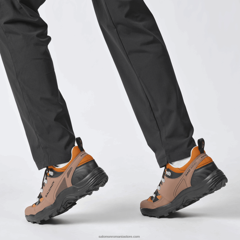 Salomon stejar auriu/ghinda/negru pantofi sport pentru bărbați - raid wind 75th 6D8X2J161