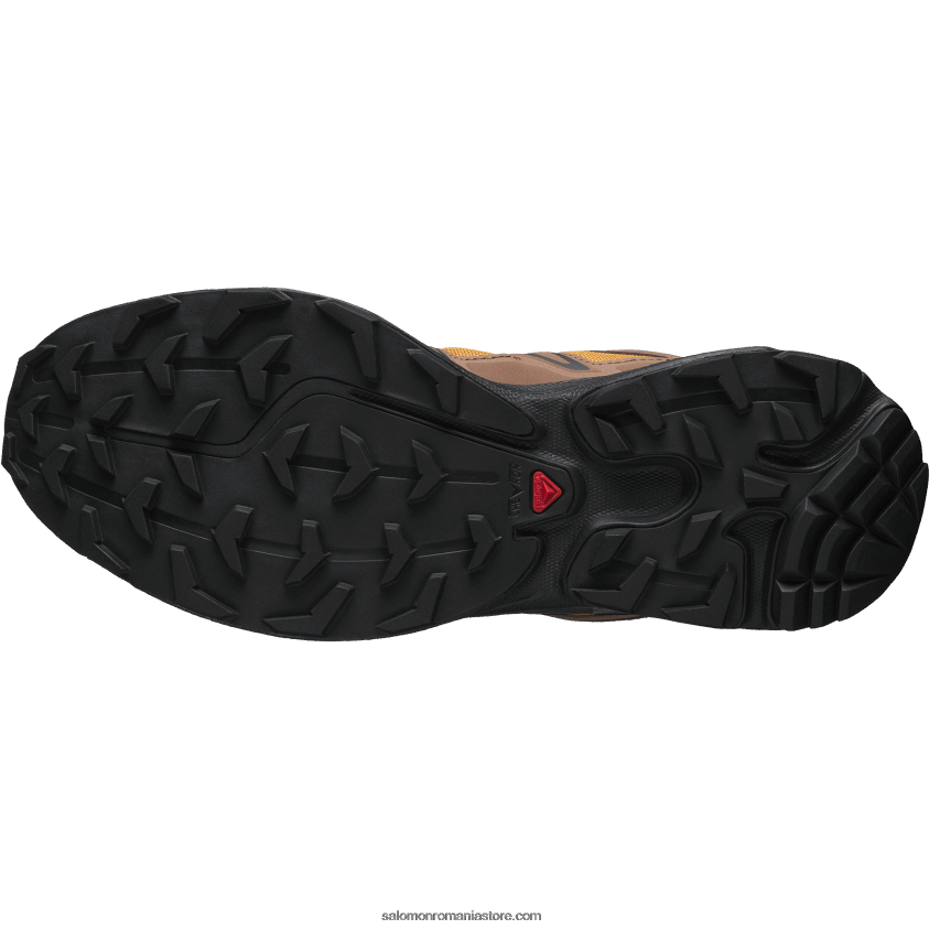 Salomon stejar auriu/ghinda/negru pantofi sport pentru bărbați - xt-6 expanse 75th 6D8X2J225