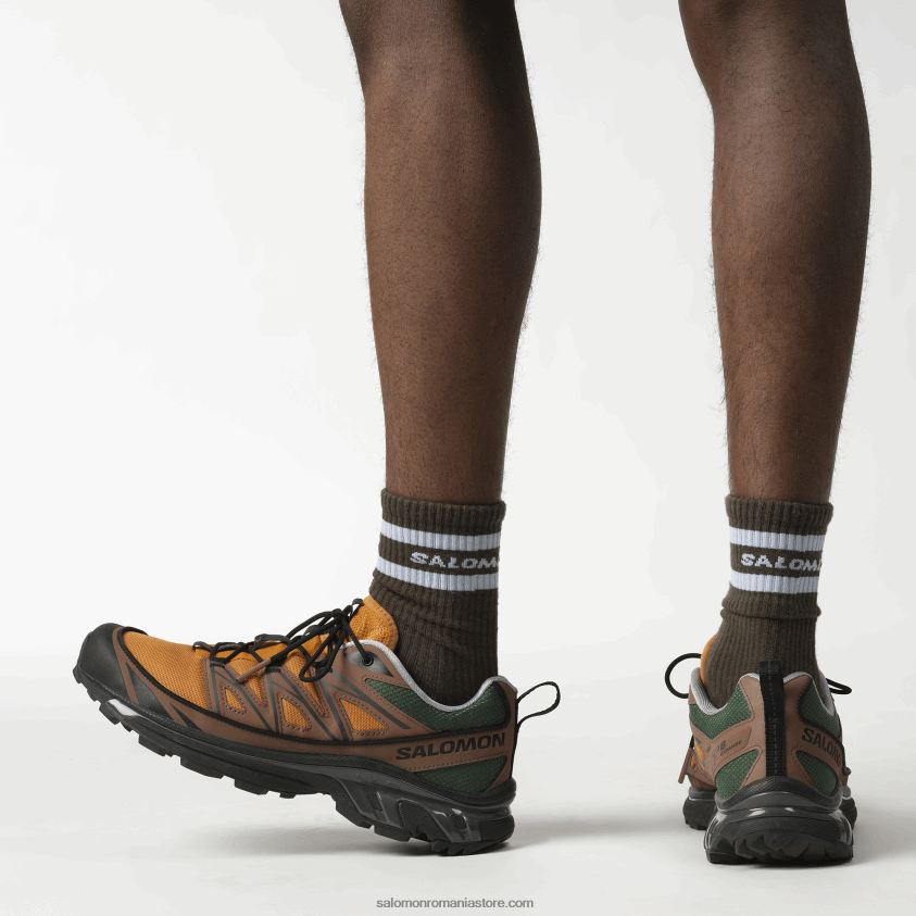 Salomon stejar auriu/ghinda/negru pantofi sport pentru bărbați - xt-6 expanse 75th 6D8X2J225