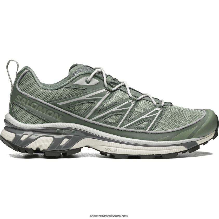 Salomon tampă de crin/cunună de lauri/pewter pantofi sport pentru bărbați - xt-6 expanse 6D8X2J103