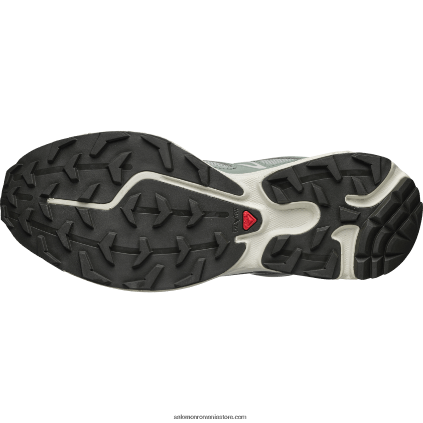 Salomon tampă de crin/cunună de lauri/pewter pantofi sport pentru bărbați - xt-6 expanse 6D8X2J103
