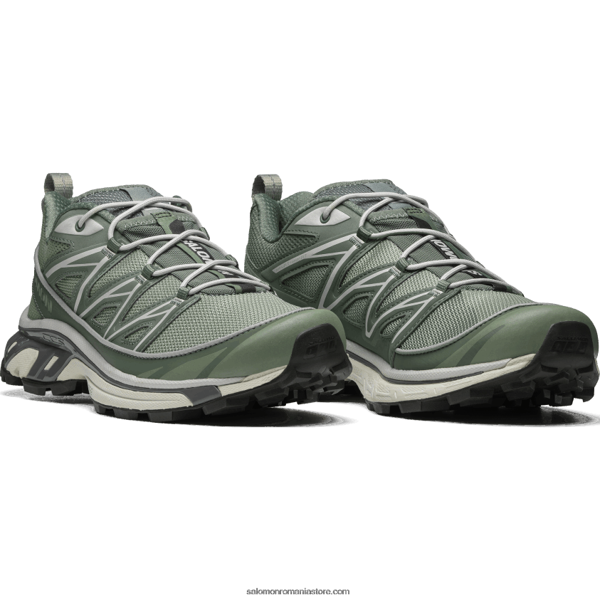 Salomon tampă de crin/cunună de lauri/pewter pantofi sport pentru bărbați - xt-6 expanse 6D8X2J103