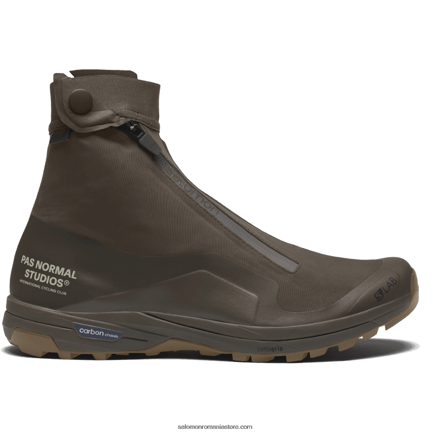 Salomon turbă/maro major/pescăruş pantofi sport pentru bărbați - xa-alpine 2 pentru pas normal studios 6D8X2J136