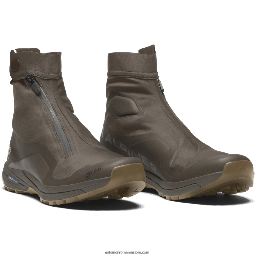 Salomon turbă/maro major/pescăruş pantofi sport pentru bărbați - xa-alpine 2 pentru pas normal studios 6D8X2J136