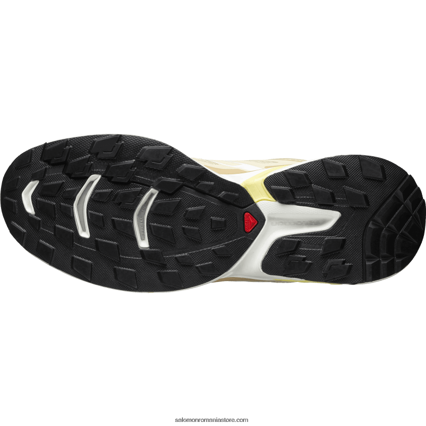 Salomon turturele/alb/alun pantofi sport pentru bărbați - xt-wings 2 6D8X2J192