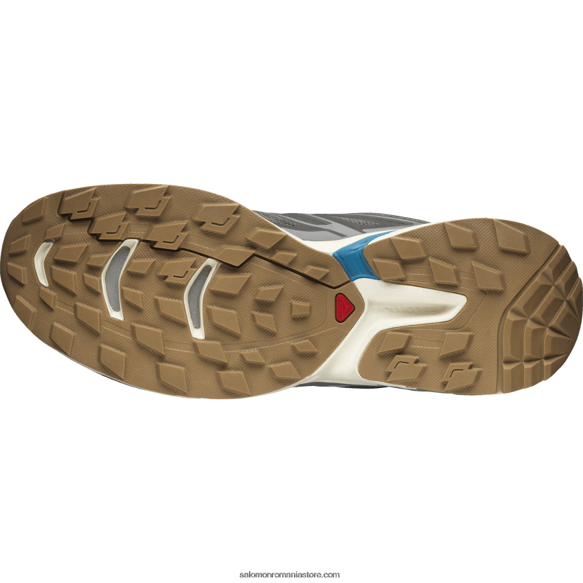 Salomon umbra linistita/gheata de vanilie/aster albastru pantofi sport pentru bărbați - xt-wings 2 6D8X2J191