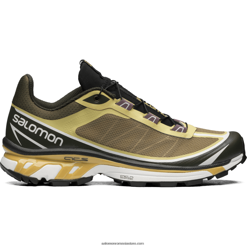 Salomon varec/praz verde/frunză de toamnă pantofi sport pentru bărbați - xt-6 ft 6D8X2J93