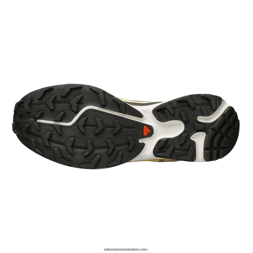 Salomon varec/praz verde/frunză de toamnă pantofi sport pentru bărbați - xt-6 ft 6D8X2J93
