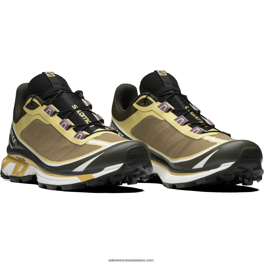 Salomon varec/praz verde/frunză de toamnă pantofi sport pentru bărbați - xt-6 ft 6D8X2J93