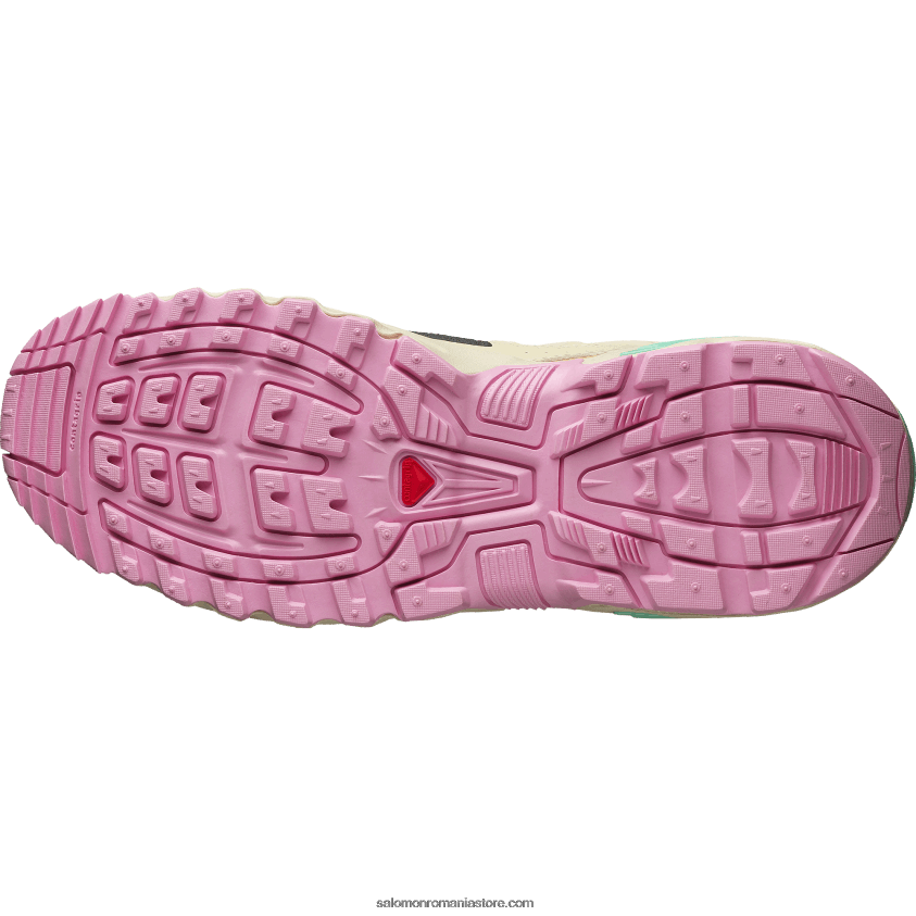 Salomon verde abanos/muschi/biscay pantofi sport pentru bărbați - acs + 6D8X2J144
