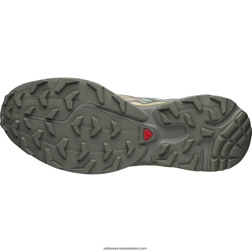 Salomon verde gri/gri muschi/gri castor pantofi sport pentru bărbați - xt-6 mindful 6D8X2J215