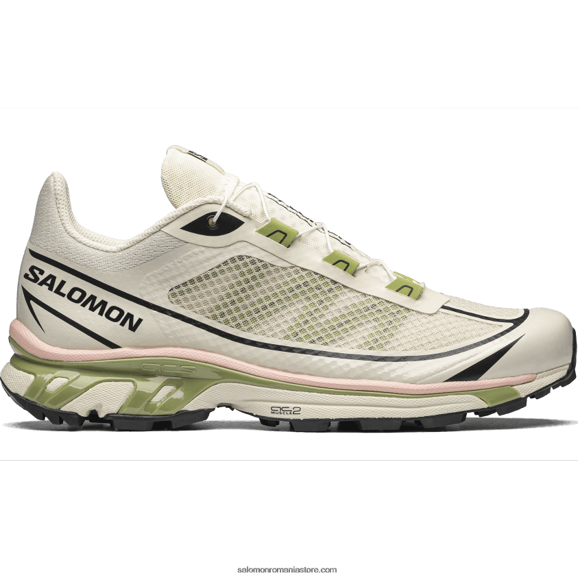 Salomon zi ploioasă/epsom/bej piersic pantofi sport pentru bărbați - xt-6 ft 6D8X2J90