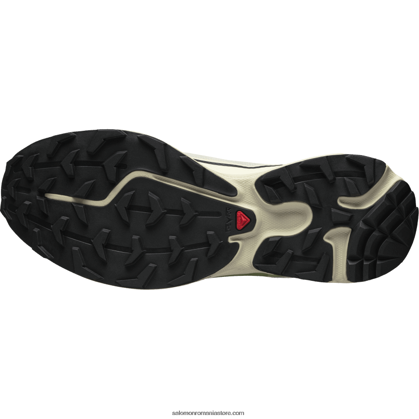 Salomon zi ploioasă/epsom/bej piersic pantofi sport pentru bărbați - xt-6 ft 6D8X2J90