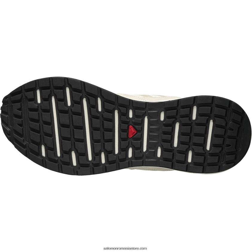 Salomon zi ploioasă/gri pene/gheață de vanilie pantofi sport pentru bărbați - piele odyssey 1 avansată 6D8X2J221