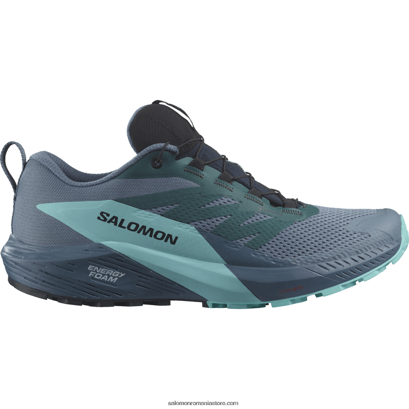 Salomon carbon/blue stralucire/china blue pantofi de alergare pentru bărbați - sense ride 5 gore-tex 6D8X2J1445