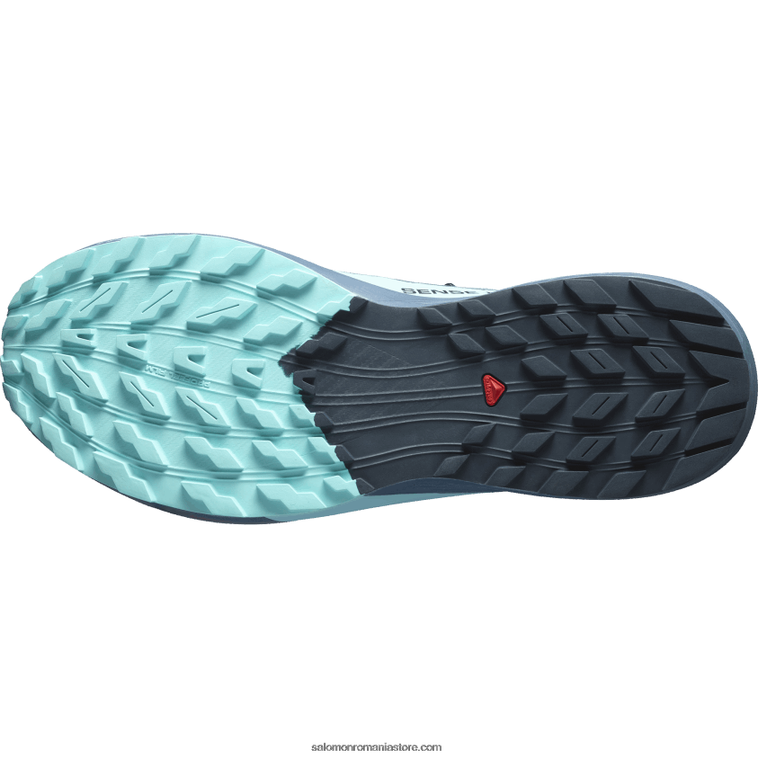 Salomon carbon/blue stralucire/china blue pantofi de alergare pentru bărbați - sense ride 5 gore-tex 6D8X2J1445