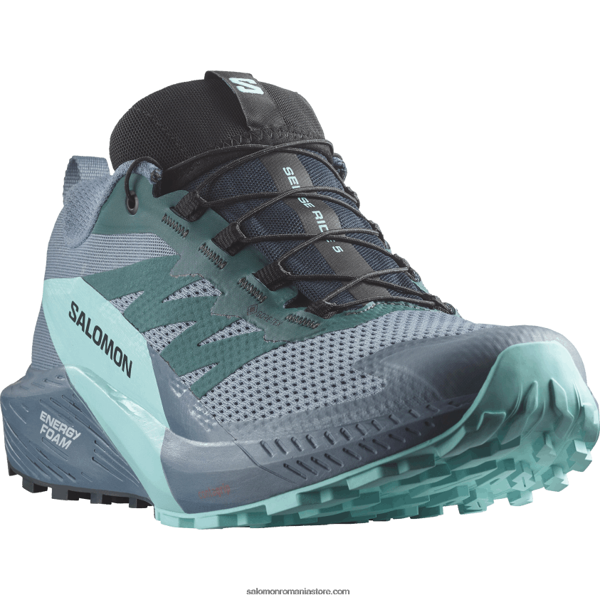 Salomon carbon/blue stralucire/china blue pantofi de alergare pentru bărbați - sense ride 5 gore-tex 6D8X2J1445