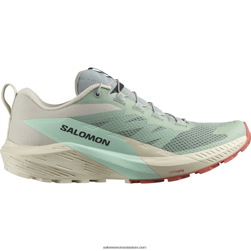Salomon crin/zi ploioasă/aqua albită pantofi de alergare pentru bărbați - sense ride 5 6D8X2J1433