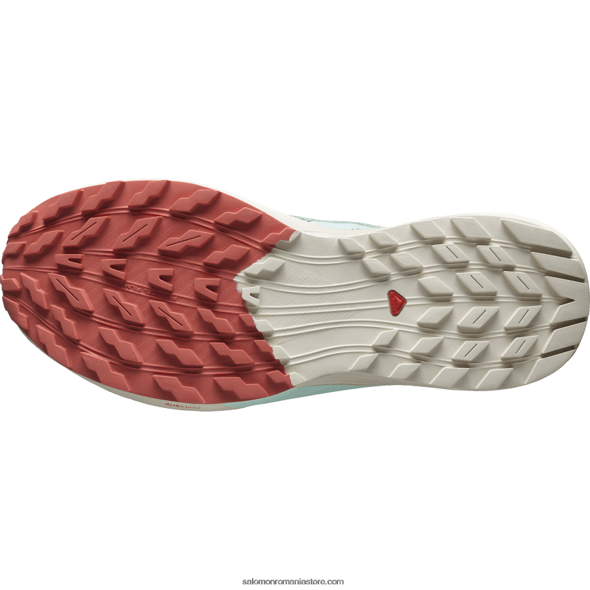 Salomon crin/zi ploioasă/aqua albită pantofi de alergare pentru bărbați - sense ride 5 6D8X2J1433