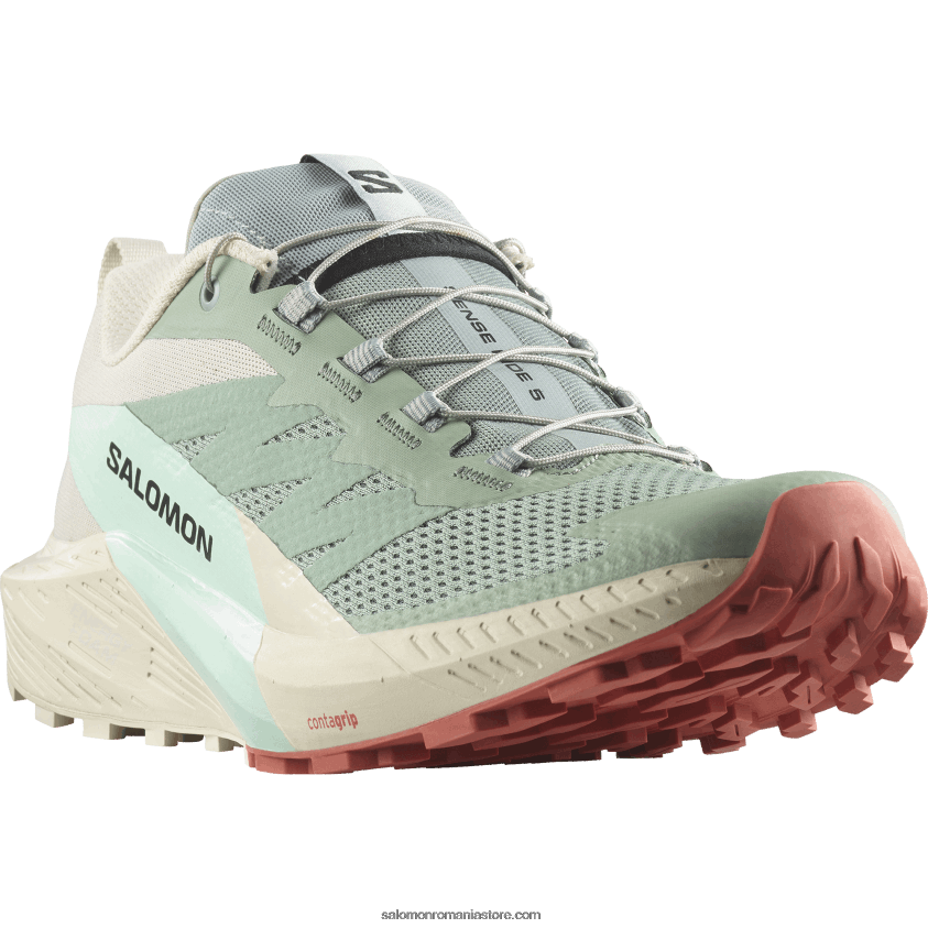 Salomon crin/zi ploioasă/aqua albită pantofi de alergare pentru bărbați - sense ride 5 6D8X2J1433