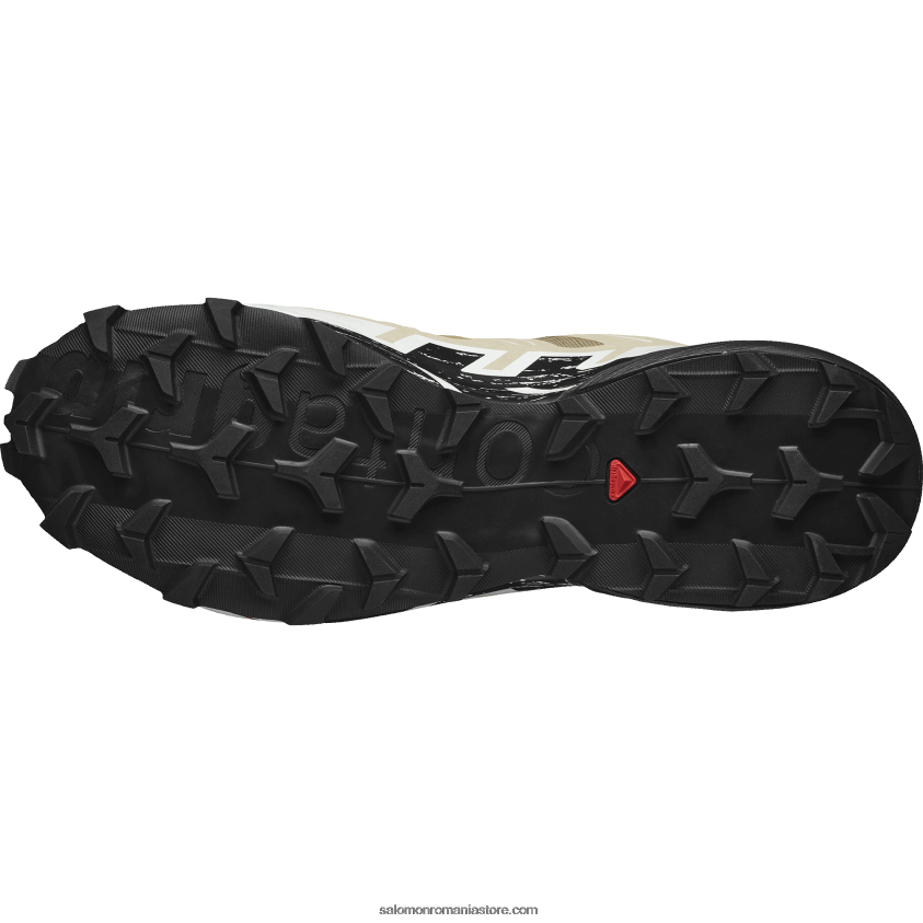 Salomon gheață de varec/negru/vanilie pantofi de alergare pentru bărbați - speedcross 6 gore-tex 6D8X2J1466