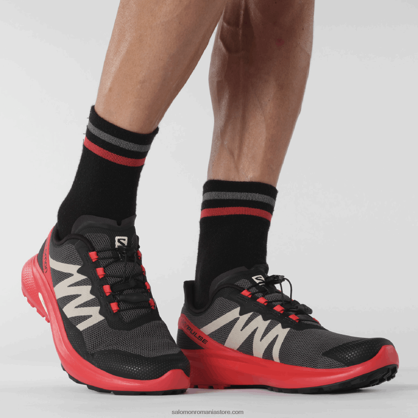 Salomon magnet/rosu mac/negru pantofi de alergare pentru bărbați - hypulse 6D8X2J1484
