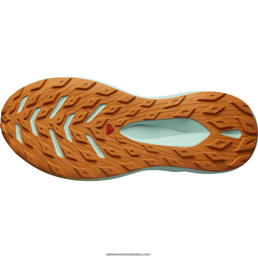 Salomon nisip albit/yucca/piper portocaliu încălțăminte de trail pentru bărbați - glide max tr 6D8X2J1446