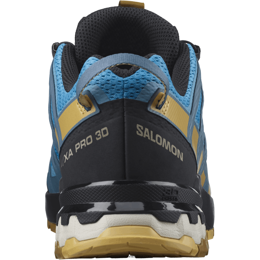 Salomon recif de barieră/frunză de toamnă/brun bronz pantofi de alergare pentru bărbați - xa pro 3d v8 6D8X2J1480