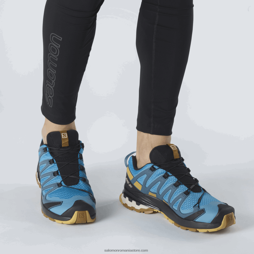 Salomon recif de barieră/frunză de toamnă/brun bronz pantofi de alergare pentru bărbați - xa pro 3d v8 6D8X2J1480