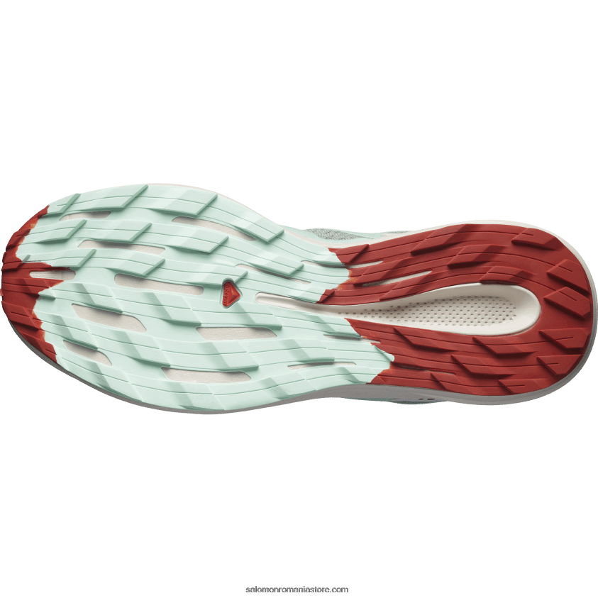 Salomon tampon de crin/aqua albit/sos iute pantofi de alergare pentru bărbați – pulsar trail 6D8X2J1464