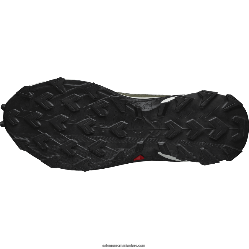 Salomon verde lichen profund/gheata de vanilie/noapte de masline pantofi de alergare pentru bărbați - alphacross 4 gore-tex 6D8X2J1476