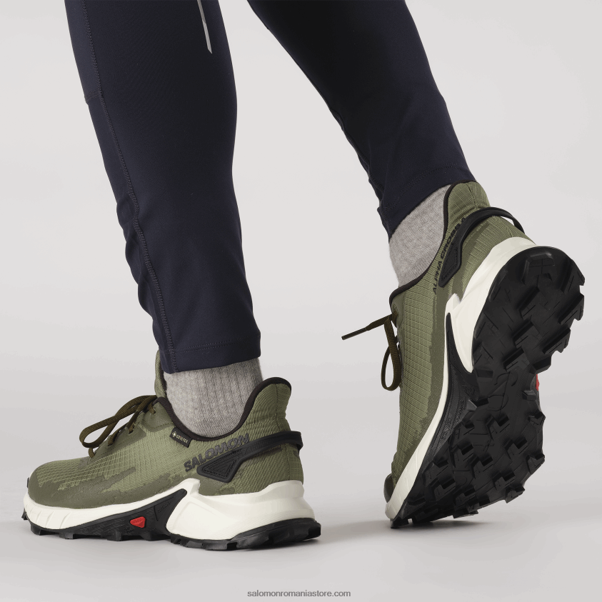 Salomon verde lichen profund/gheata de vanilie/noapte de masline pantofi de alergare pentru bărbați - alphacross 4 gore-tex 6D8X2J1476