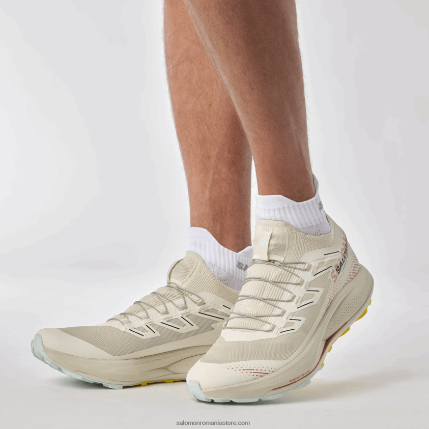 Salomon zi ploioasă/sos iute/frezie pantofi de alergare pentru bărbați - pulsar trail pro 2 6D8X2J1437