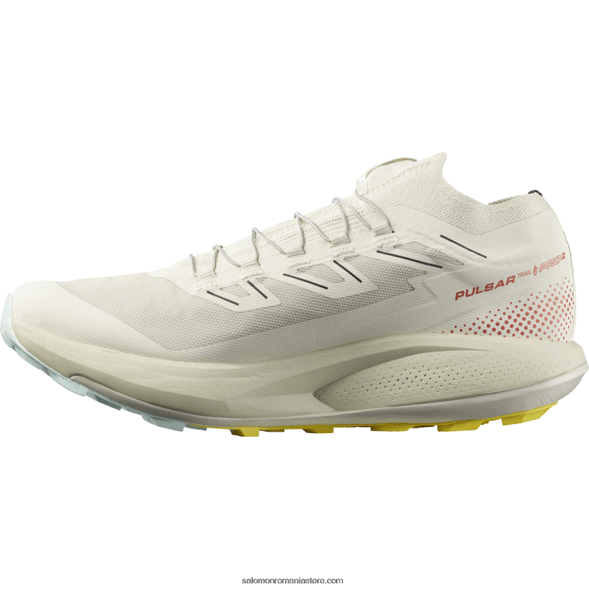 Salomon zi ploioasă/sos iute/frezie pantofi de alergare pentru bărbați - pulsar trail pro 2 6D8X2J1437