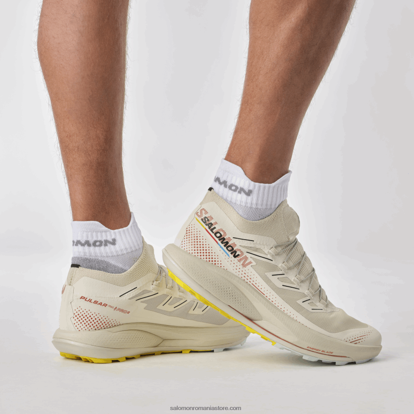 Salomon zi ploioasă/sos iute/frezie pantofi de alergare pentru bărbați - pulsar trail pro 2 6D8X2J1437