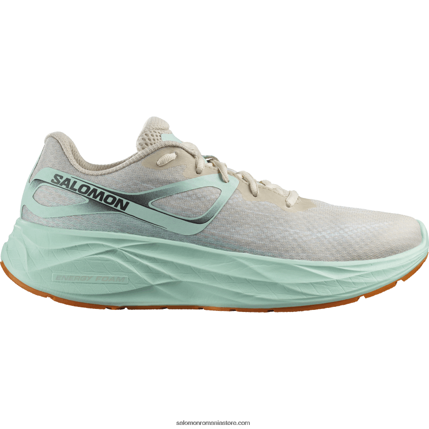 Salomon nisip albit/yucca/piper portocaliu pantofi alergare bărbați - aero glide 6D8X2J1066