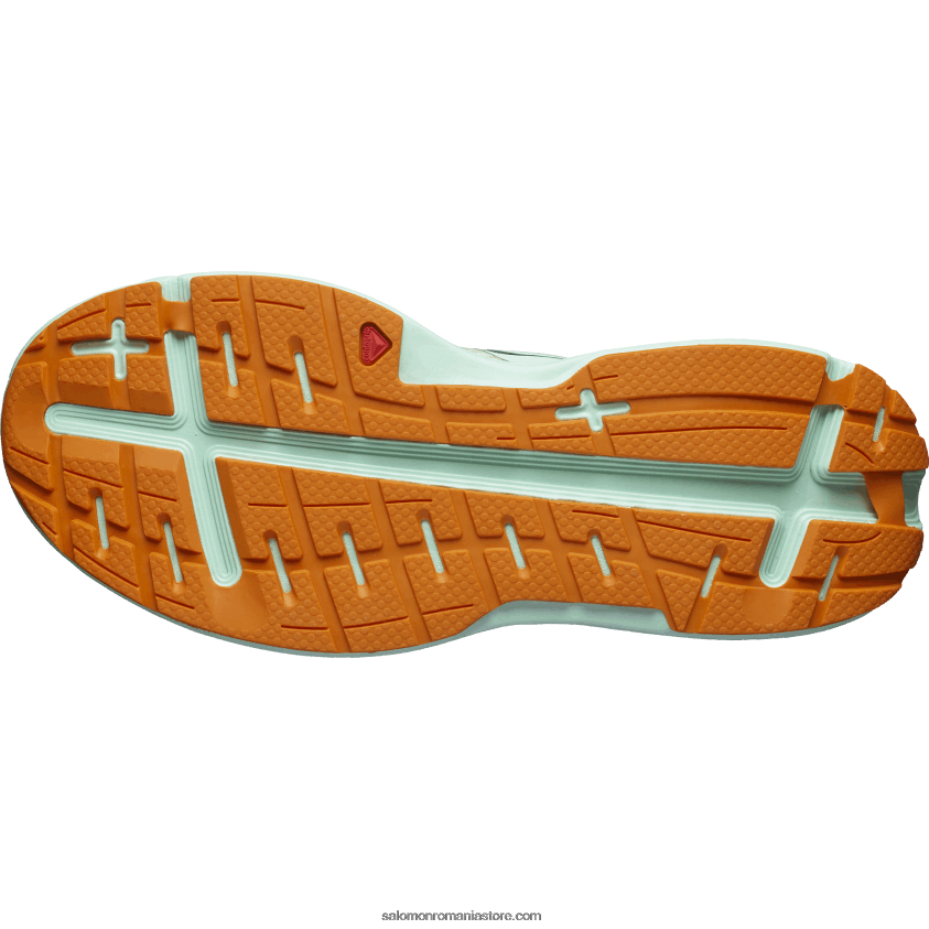 Salomon nisip albit/yucca/piper portocaliu pantofi alergare bărbați - aero glide 6D8X2J1066